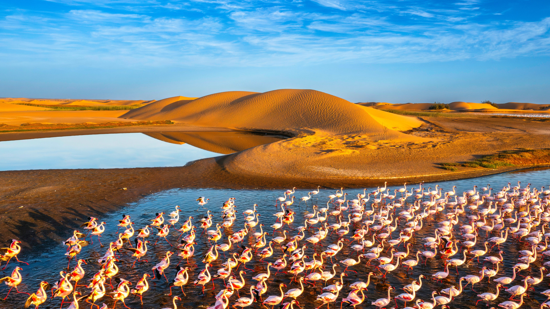 Namibias Naturwunder bis zu den Viktoriafällen